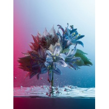 Breathing Love Underwater Breath
