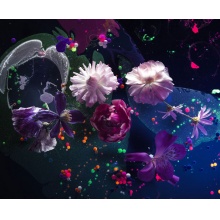  Cosmic in Bloom 万象洇染
